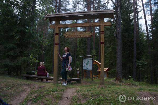 Национальный парк Валдайский (Россия, Новгородская область) фото