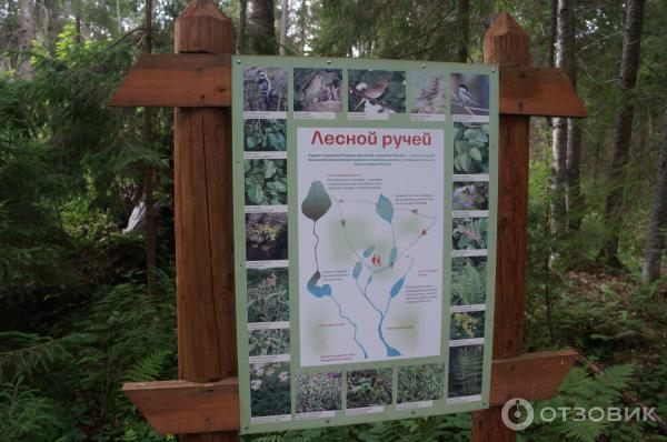 Национальный парк Валдайский (Россия, Новгородская область) фото