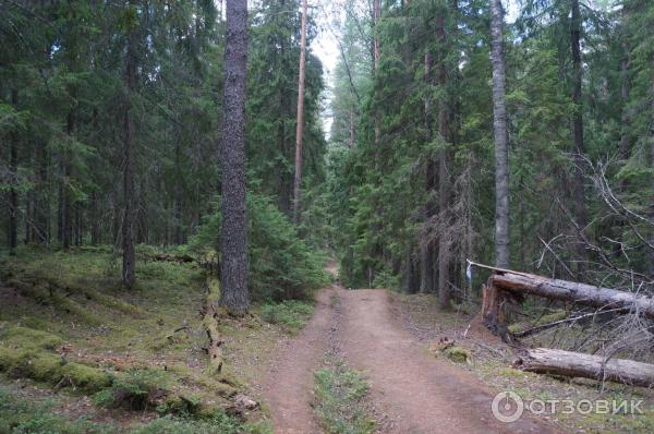 Национальный парк Валдайский (Россия, Новгородская область) фото