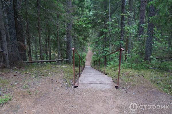 Национальный парк Валдайский (Россия, Новгородская область) фото