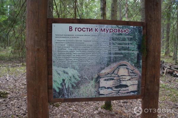 Национальный парк Валдайский (Россия, Новгородская область) фото