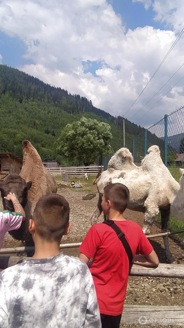 Посетить Львов, секс тур выходного дня.