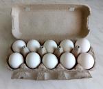 Яйца куриные "Щедрый год" фото