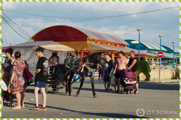 Поездка и отдых в городе Соль-Илецк фото