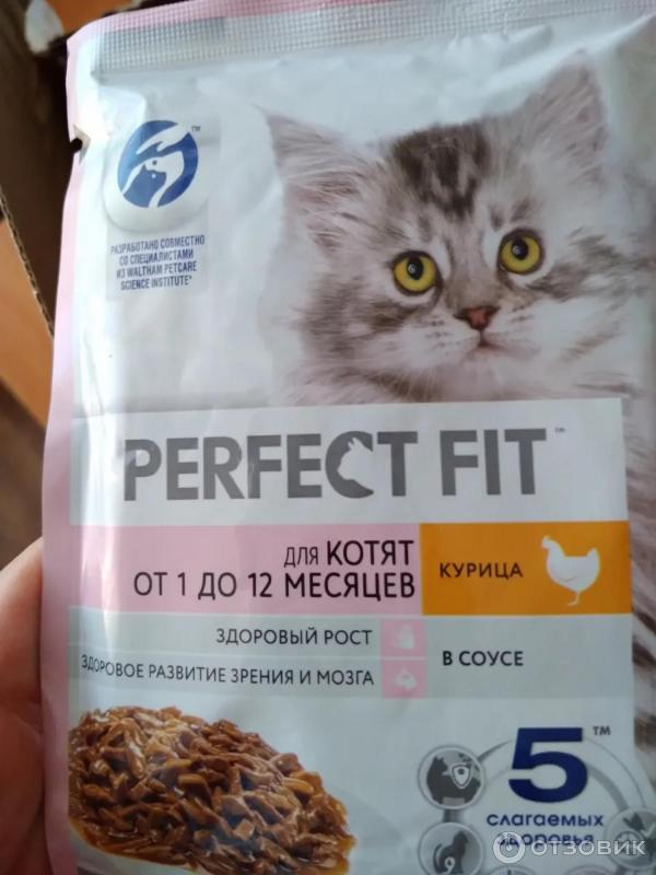 Влажный корм для котят Perfect Fit Junior фото