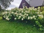 Удобрение Органик Микс фото