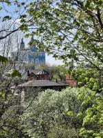 Свято-Успенский кафедральный Собор (Россия, Смоленск) фото