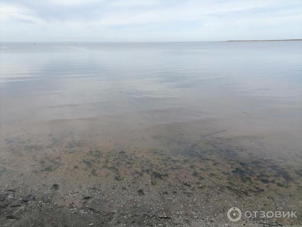 Белое море