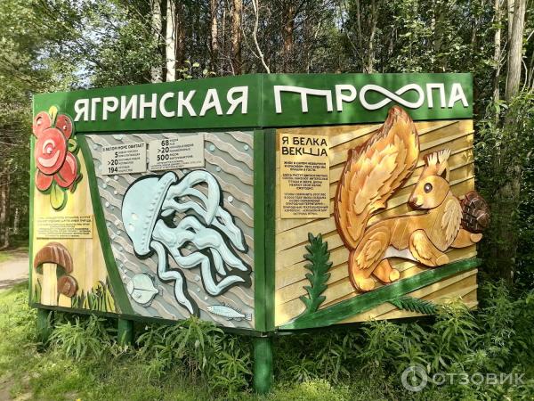 Остров Ягры