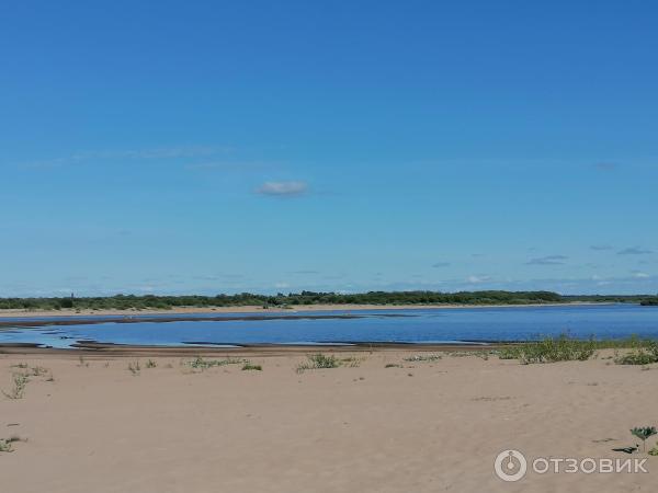 Курополка