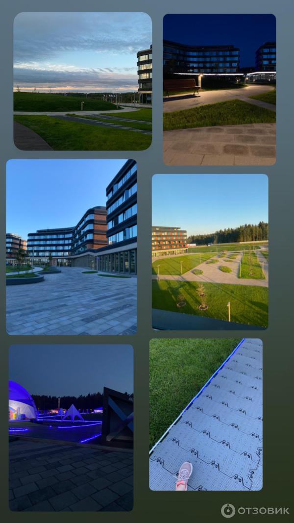 Отзыв о Мастерская управления 