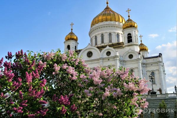 Смотровая площадка храма Христа Спасителя (Россия, Москва) фото