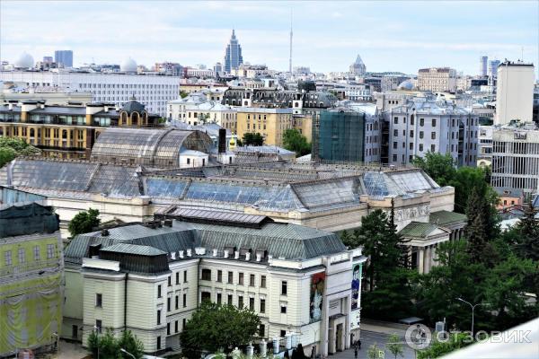 Смотровая площадка храма Христа Спасителя (Россия, Москва) фото