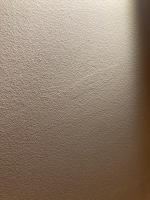 Декоративная краска и декоративная штукатурка Goldshell фото