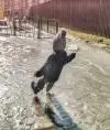 Аноним5511094