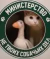 Аноним5525730