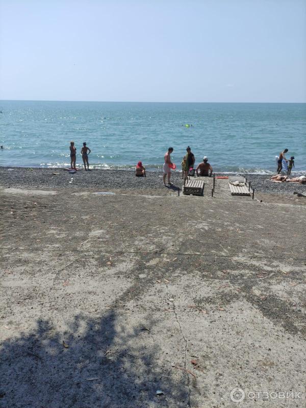 Отзыв о Пансионат "Эвкалиптовая роща" (Абхазия, Очамчирский район, с ...