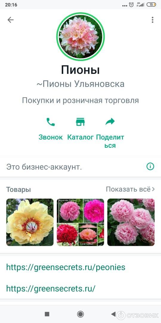 Корневища Пионов Купить В Интернет Магазине