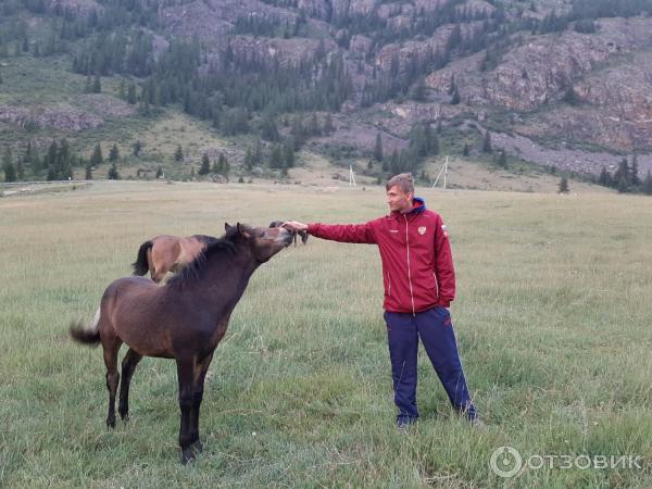 Восхождение на вершину Актру (Россия, Алтай) фото