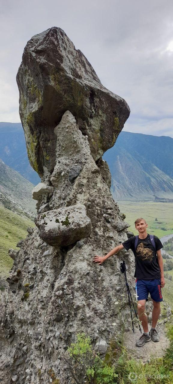 Каменные грибы на Алтае (Россия, Республика Алтай) фото