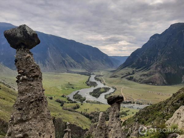 Каменные грибы на Алтае (Россия, Республика Алтай) фото