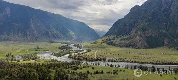 Каменные грибы на Алтае (Россия, Республика Алтай) фото