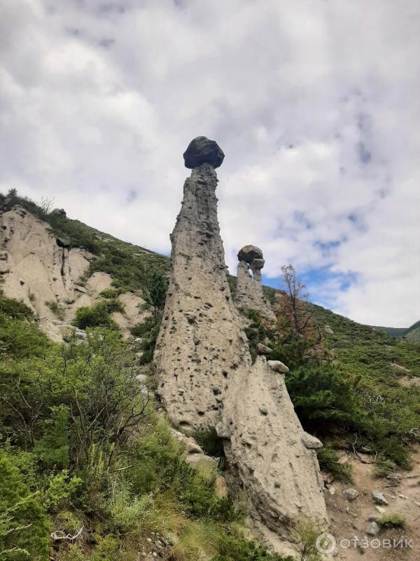 Каменные грибы на Алтае (Россия, Республика Алтай) фото