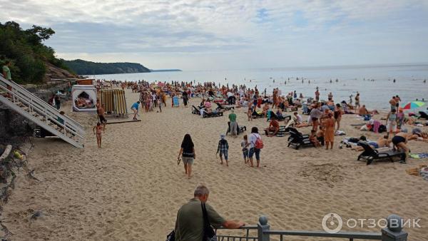 Отдых в г. Светлогорск (Россия, Калининградская область) фото