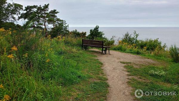 Отдых в г. Светлогорск (Россия, Калининградская область) фото