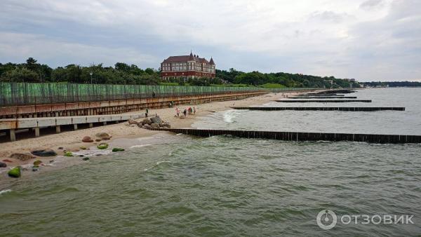 Отдых в г. Светлогорск (Россия, Калининградская область) фото