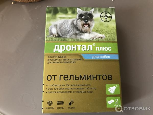 Дронтал Для Кошек Купить В Новосибирске