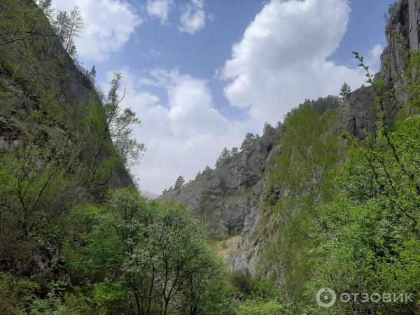 Урочище Че-Чкыш (Россия, Алтай) фото