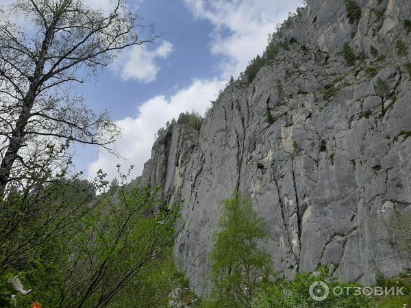 Урочище Че-Чкыш (Россия, Алтай) фото