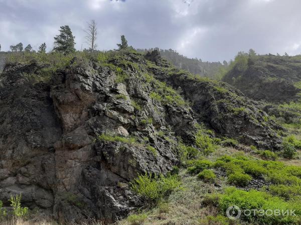 Урочище Че-Чкыш (Россия, Алтай) фото