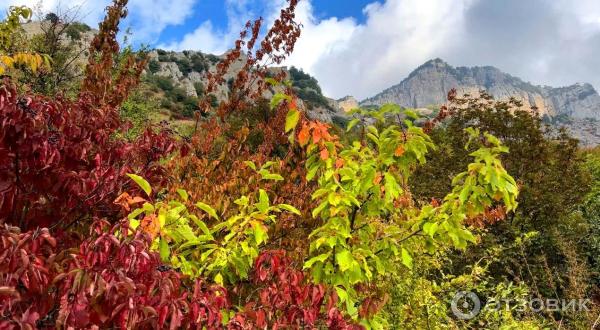 Экскурсия Вершины Южной Демерджи (Россия, Алушта) фото