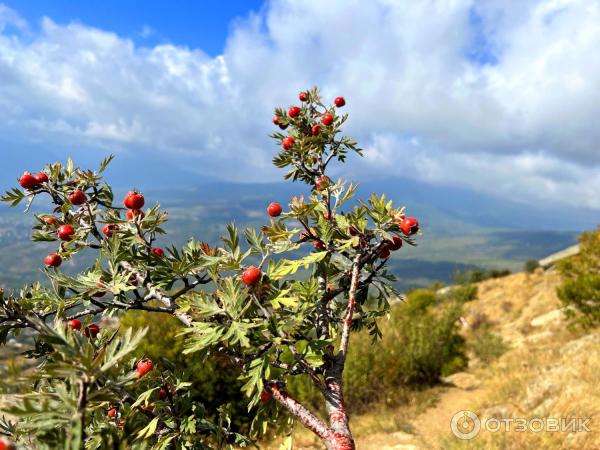 Экскурсия Вершины Южной Демерджи (Россия, Алушта) фото