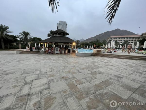 Отель Fujairah Rotana Resort Spa - Al Aqah Beach 5 (ОАЭ, Фуджейра) фото