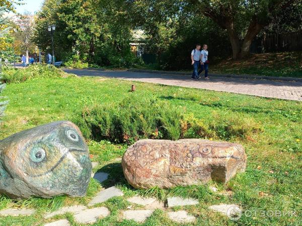 Музей лягушки в Дмитрове (Россия, Дмитров) фото