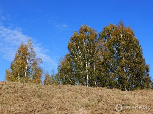 Село Диево-Городище (Россия, Ярославская область) фото