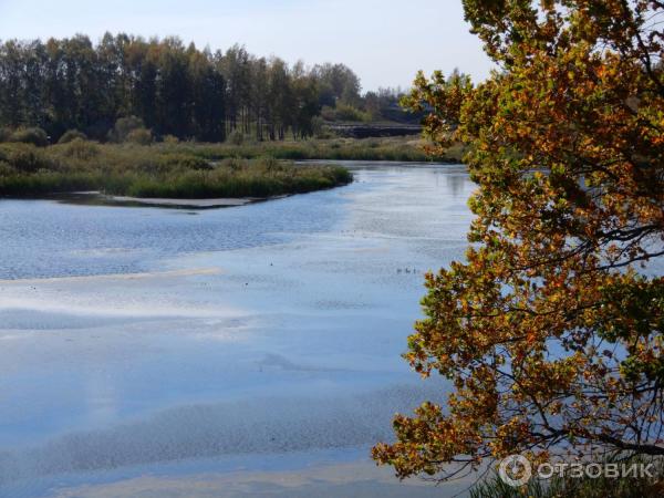 Село Диево-Городище (Россия, Ярославская область) фото