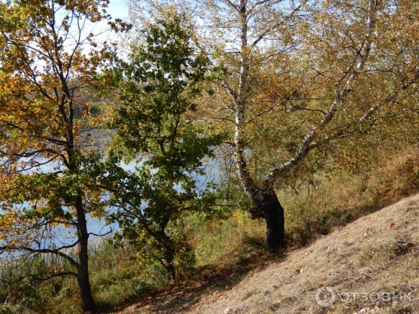 Село Диево-Городище (Россия, Ярославская область) фото