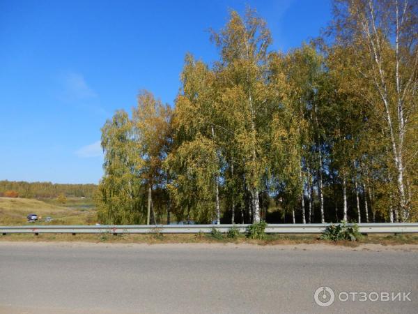 Село Диево-Городище (Россия, Ярославская область) фото