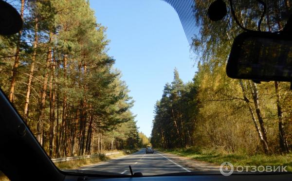 Село Диево-Городище (Россия, Ярославская область) фото