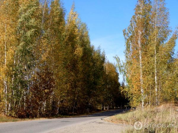 Село Диево-Городище (Россия, Ярославская область) фото