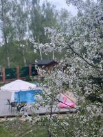 Композитные бассейны FRANMER фото