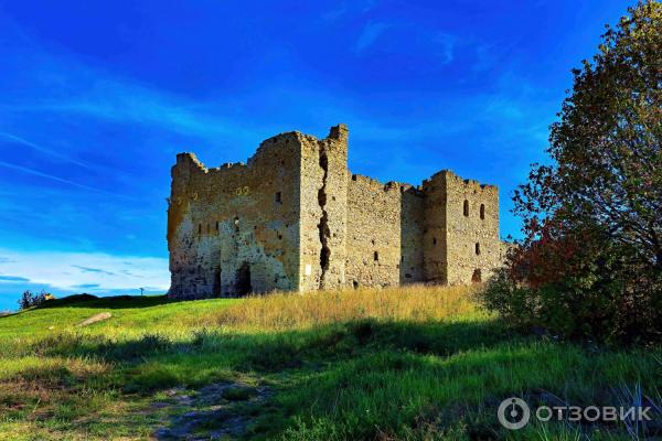 Отдых в Нарва-Йыэсуу (Эстония) фото