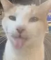 Аноним5592655