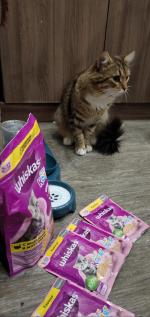 Продукция Whiskas фото