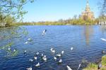 Собор Петра и Павла в Петергофе (Россия, Санкт-Петербург) фото