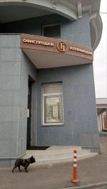 Застройщик Sezar Group (Россия, Москва) фото